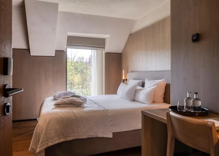 Chateau De Vignée 5*