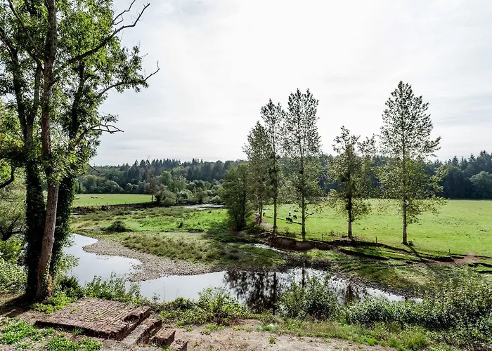 Chateau De Vignée Rochefort