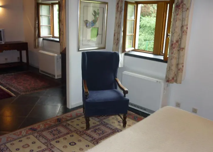 Hotel Chateau De Vignée 5*